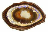 Stunning Yowah Nut Boulder Opal Pair - Australia #351926-1